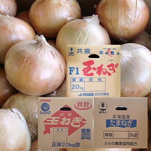 玉ねぎ20kg」の人気商品一覧 | 安い商品を通販サイトから探す - 価格.com